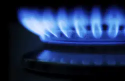 Biogas for Heat and Power Biogas for Heat and Power